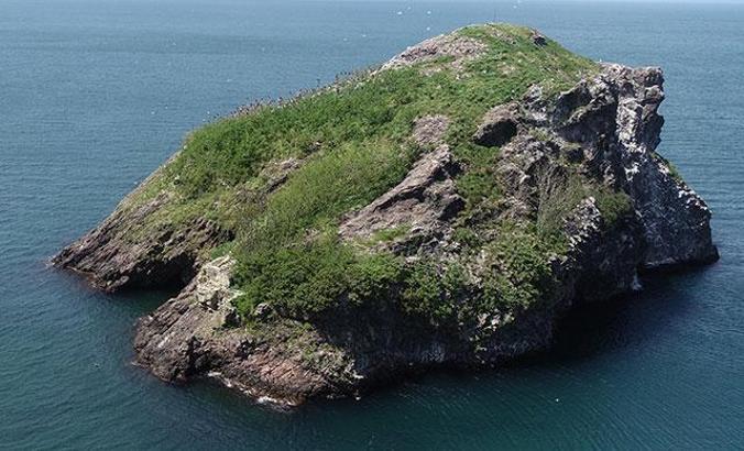 Hoynat Adası’na ziyaretçi akını