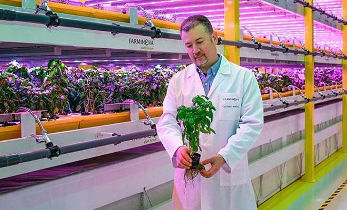 Türkiye'nin ilk bitki fabrikası