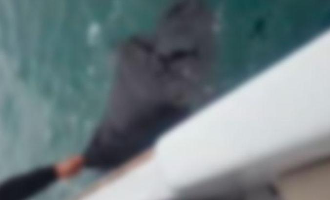 Mersin'de balıkçıların ağına 2 erkek cesedi takıldı