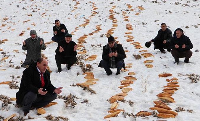 'Kaza bela def olsun' diye doğaya 2001 ekmek bıraktılar