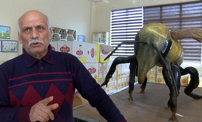 Suriye arısı, ıslah ediliyor