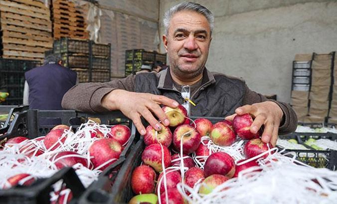 Elma ticaretinde 'Habur' hareketliliği
