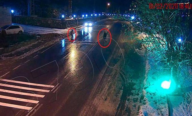 Ankara'da hayvan heykellerinin parçalanması mobese kamerasında