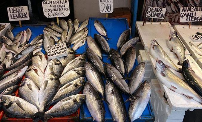 Balıkçıların palamut oyunu: ‘Tombik’ çıktı