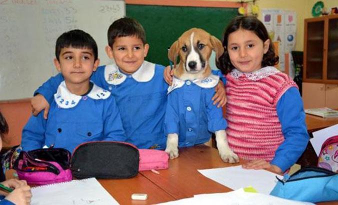Klinikte tedavi gören Fındık, kurtarılamadı