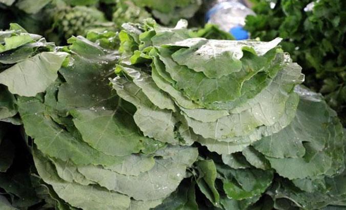 Bağışıklık sistemini güçlendiren kara lahana, sosyal medyadanın gündeminde