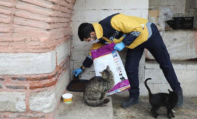 “Sokakta yaşayan minik dostlarımızı unutmuyoruz”