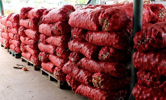 Koronavirüs nedeniyle halde fiyatlar yarı yarıya düştü