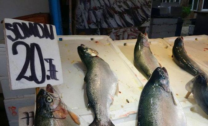 Karadeniz’de yetiştirilen somon sağlık dostu