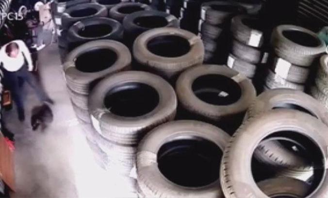 O cani hala aranıyor