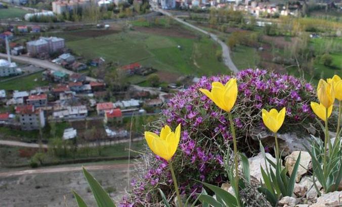 Baharla birlikte dağlar renklendi