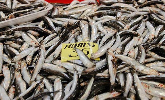 Uzmanlardan akciğer sağlığı için 'balık tüketin' önerisi