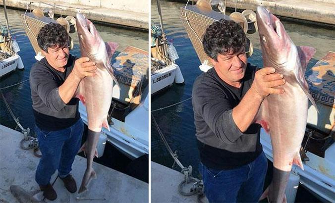 Balıkçı ağına 2 köpek balığı takıldı