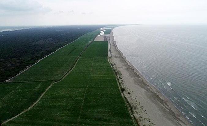 Mersin’de 2,5 milyon metrekarelik alan koruma altında