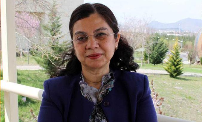 Prof. Dr. Silici: 'Propolisin bağışıklık sistemi üzerinde uyarıcı ve düzenleyici etkisi var'