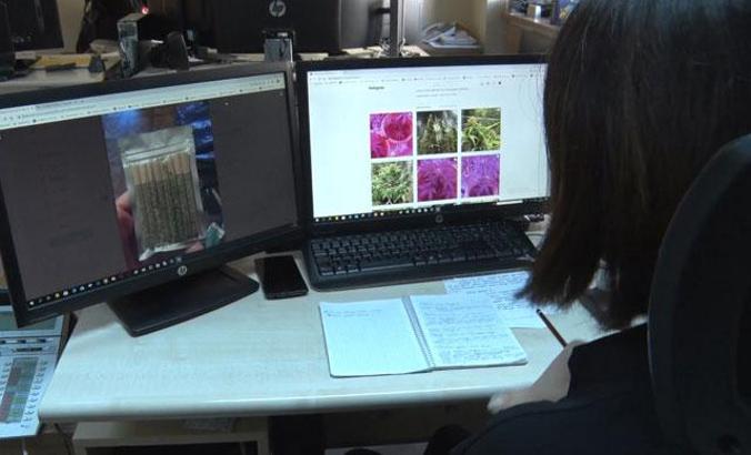 Sanal Narko Timi'yle internet üzerinden uyuşturucuyla mücadele