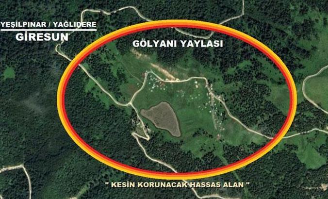 Cumhurbaşkanı Erdoğan onayladı; Gölyanı Yaylası “Kesin korunacak hassas alan" ilan edildi