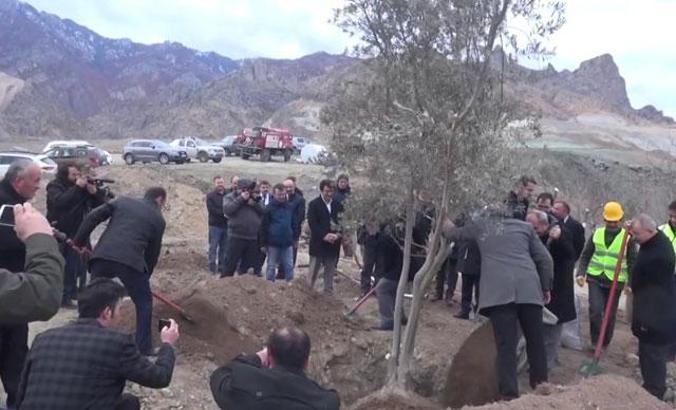 Su altında kalacak Yusufeli'nde ağaçlar yeni yerleşim yerine taşınıyor