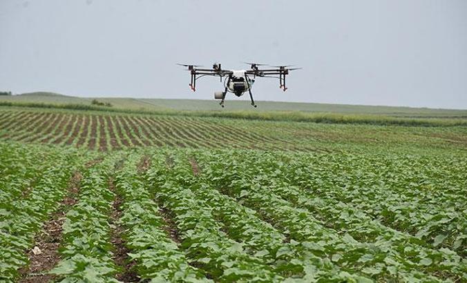 Edirne'de tarlalar drone ile ilaçlanıyor