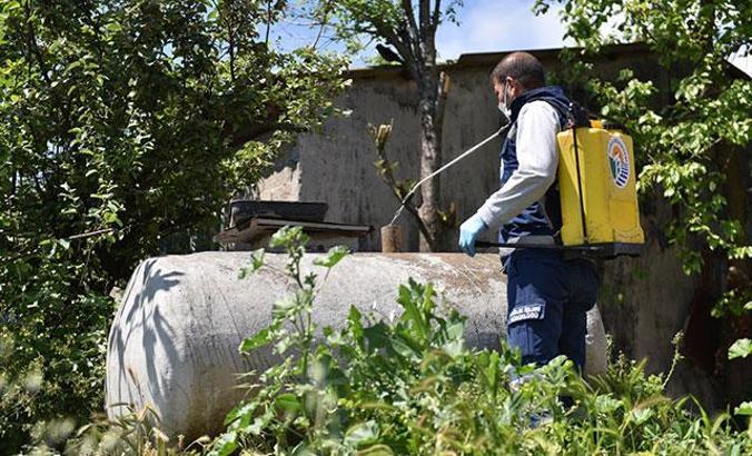Tuzla'da çevre dostu ilaçlama devam ediyor