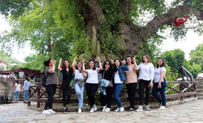 3 bin yıllık ve kutsal olduğuna inanılan 'Musa Ağacı'na ziyaretçi akını