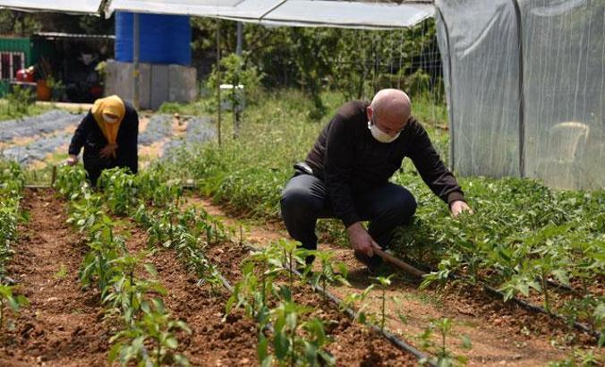 65 yaş üzeri vatandaşlar günlerini hobi bahçesinde geçirdi