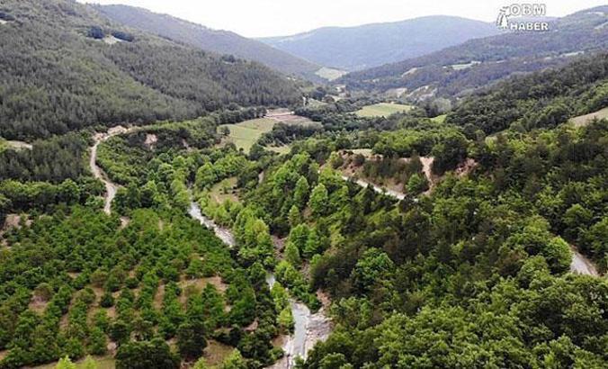 OGM: Samsun'da 'Şifa Ormanı' kuruluyor