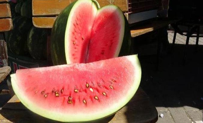 Kabak aşılı karpuzu ayırt etmenin inceliklerini anlattı