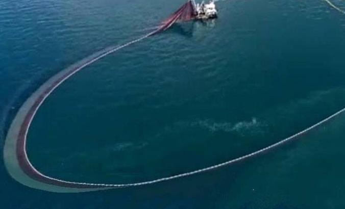 İstanbul’da trol avcılığına önlem... Balık yuvaları anti-trol resiflerle korunacak