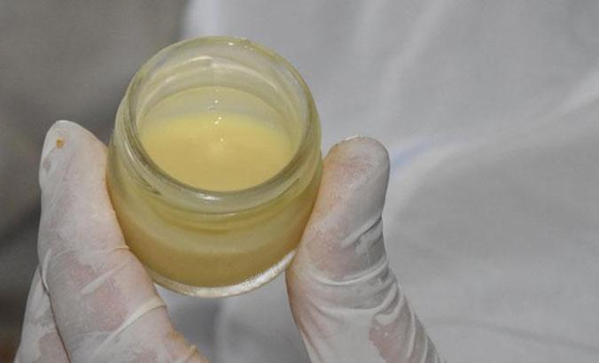 Arı sütünün kilosu 7 bin TL'den alıcı buluyor