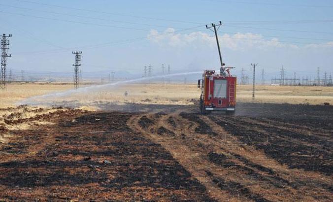 Prof. Dr. Kılıç: Anız, yıllardır yakılıyor ama herhangi bir katkısı yok
