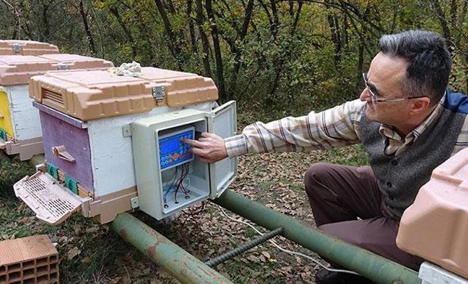 Klimalı kovan sayesinde arı ölümleri yüzde 95 azaldı