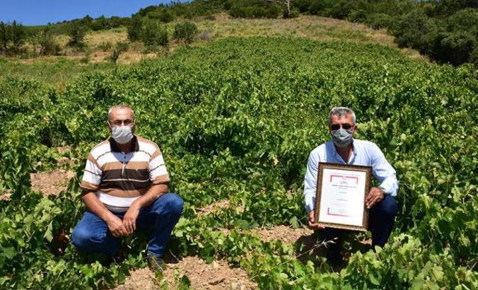 Karabağlar'ın tescillenen üzümü bölge ekonomisine katkı sağlayacak