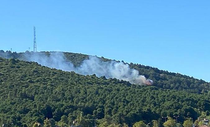 Sultanbeyli Aydos Ormanı'nda yangın