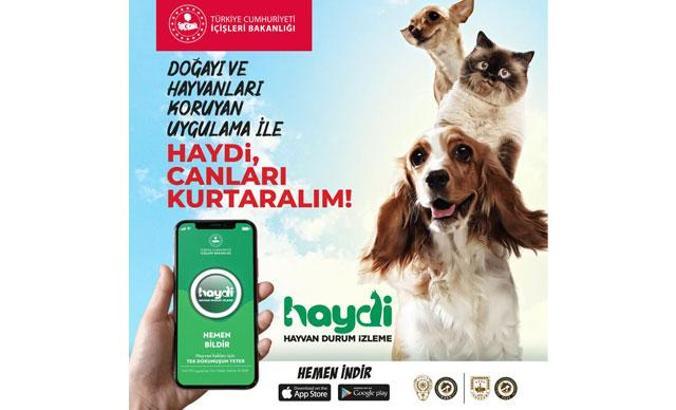 'HAYDİ' uygulamasını 17 günde 9 bin 453 kişi indirdi