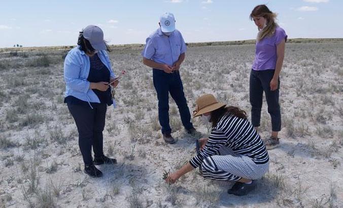 Tuz Gölü Havzası'nda 72 endemik bitki türü tespit edildi