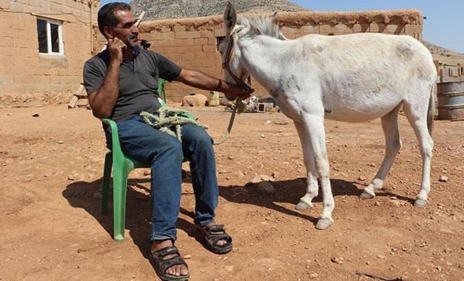 Taksiti ödeyemezse eşeği elinden alınacak