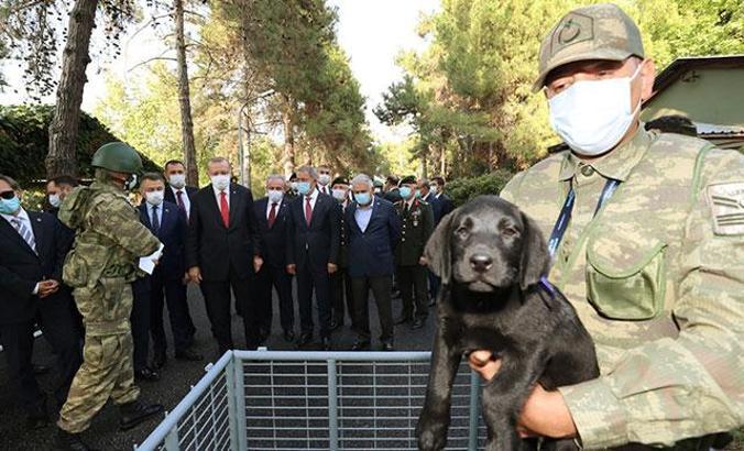 Erdoğan'ın ismini verdiği 'Boran' ve 'Yağızkan', zorlu eğitim sürecinden geçiyor