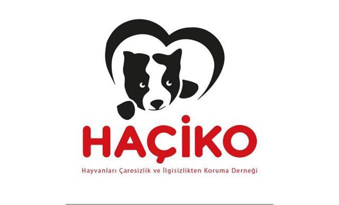 Sokak hayvanları için bağış kampanyası iş birliği