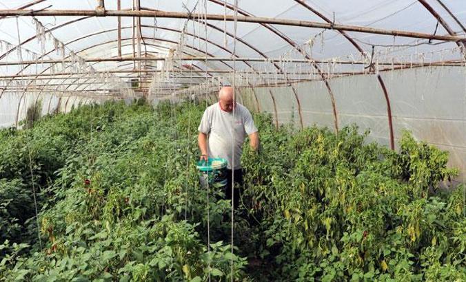 Meteoroloji dolu uyarısı yaptı, Tekirdağlı seracılar önlem aldı