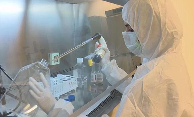 Yeni doğan kordon dokusu ölümcül Kovid hastalarına şifa olabilir