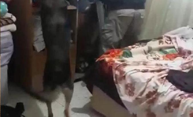 Adana’da dronlu uyuşturucu operasyonu: 9 gözaltı