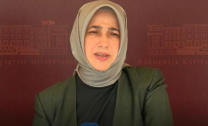 AK Parti'li Zengin'den, Diyarbakır annelerine hakaret eden HDP'li Tosun'a kınama