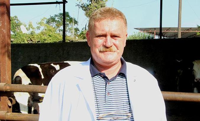 Adana'da 'kör eden' sinek tehlikesi