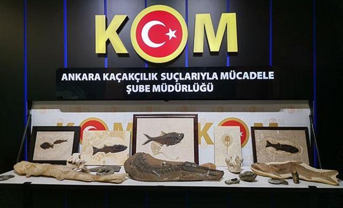 Adnan Oktar'ın kaçak fosilleri, MTA Müzesi'ne teslim edildi