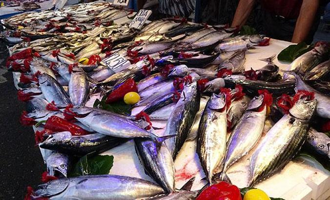 Karadenizli balıkçılardan 'mavi ışık' hile uyarısı