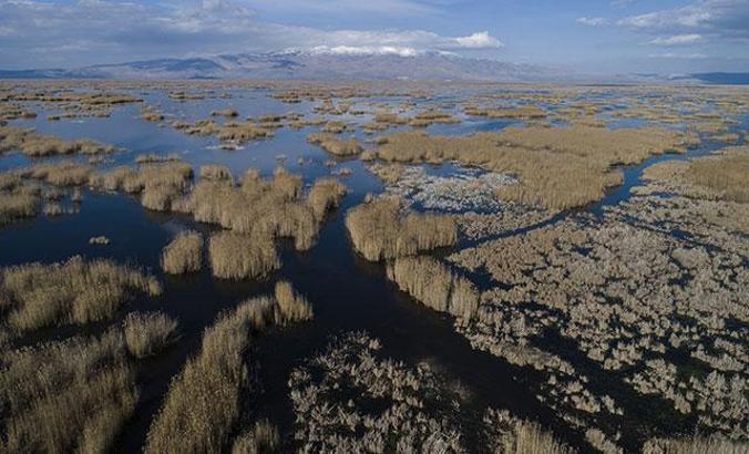Eber Gölü, kesin korunacak hassas alan ilan edildi