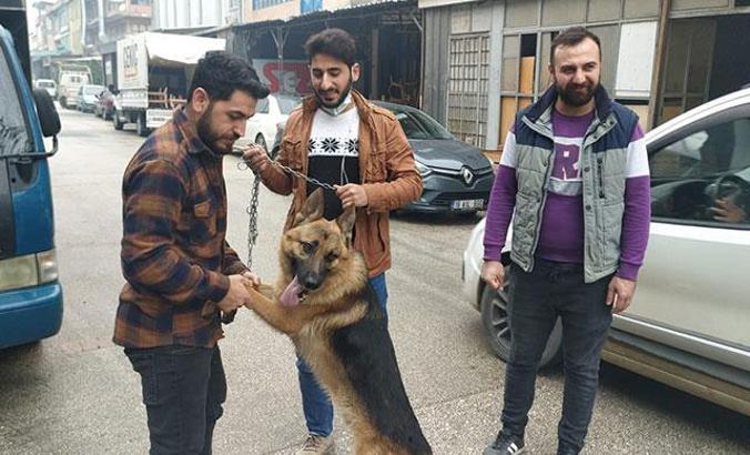 Köpeği çaldığı sanılıyordu; aracıyla çarpınca veterinere götürmüş