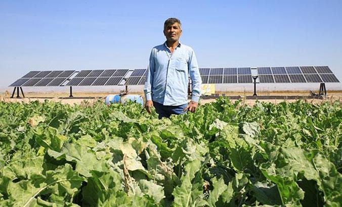 Tarlasına kurduğu güneş enerji santraliyle 180 ton daha fazla pancar üretti