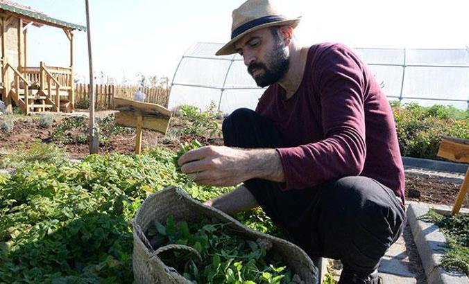 Fitoterapi uzmanı doktor, yetiştirdiği aromatik bitkilerle hastaları tedavi ediyor